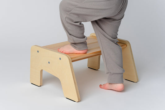 Can a 1-Step Stool Help With Potty Training?