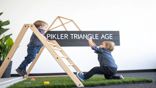 Pikler Triangle Age Guide for Modern Parents