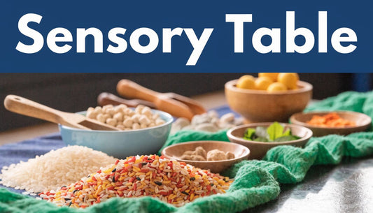 Best Sensory Table Preschool Activities and Setup for 2026